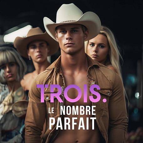 Cover image for Trois, le nombre parfait