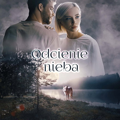 Cover image for Odcienie nieba