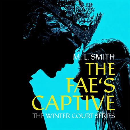 The Winter Court Series: The Fae's Captive