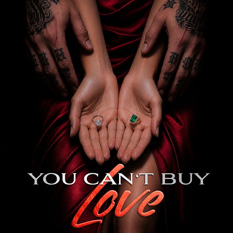 Cover image for You Can't Buy Love