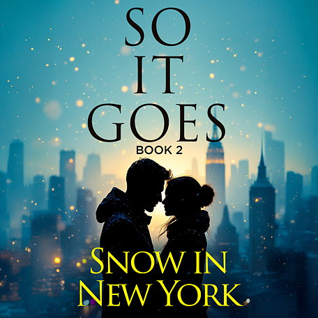 Cover image for So it Goes Book 2: Snow in New York