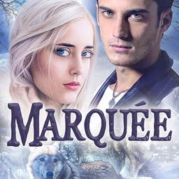 Marquée