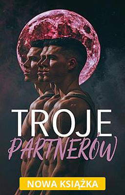 Troje Partnerów
