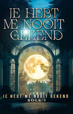 You Never Series Book 1: You Never Knew Me (NL)