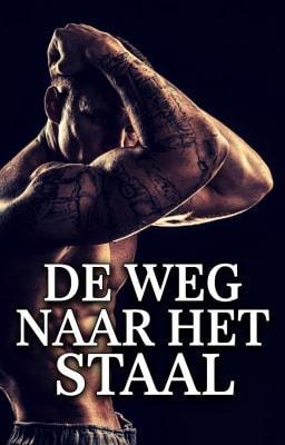 Cover image for De weg naar het staal