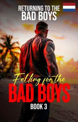 Cover image for Terug naar de badboys