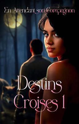 Cover image for Destins Croisés 1 : En Attendant son Compagnon