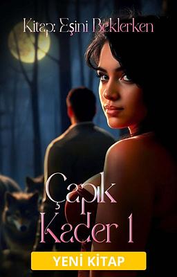 Cover image for Çarpık Kader 1. Kitap: Eşini Beklerken