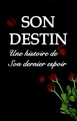 Cover image for Son destin - Une histoire de "Son dernier espoir"