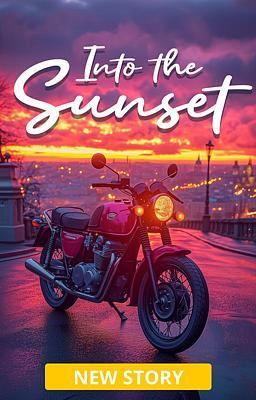 Into the sunset (français)