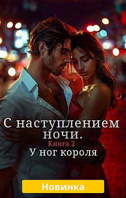 C наступлением ночи. Книга 2: У ног короля