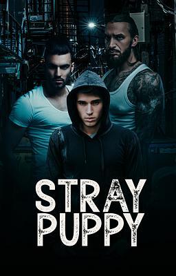 Cover image for Stray Puppy