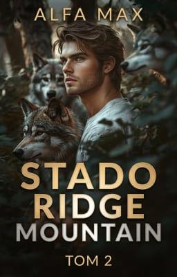 Cover image for Stado Ridge Mountain 2: Alfa Max