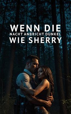 Cover image for Wenn die Nacht anbricht: Dunkel wie Sherry