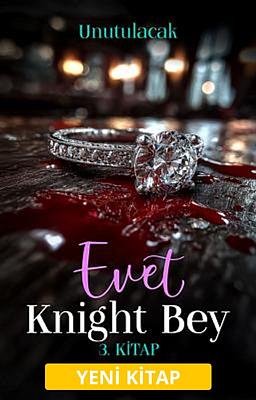 Evet, Knight Bey 3: Unutulacak