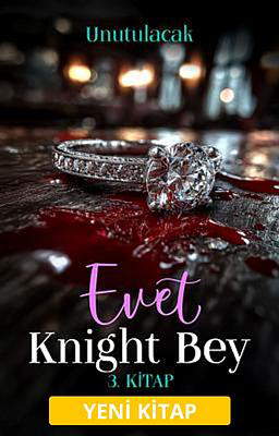 Evet, Knight Bey 3: Unutulacak