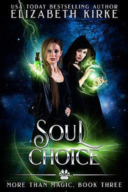More than Magic Book 3: Soul Choice