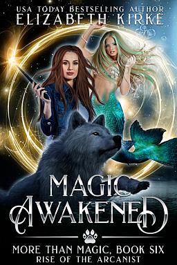 Cover image for More than Magic Book 6: Magic Awakened