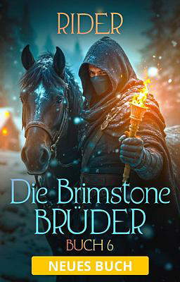 Brimstone Brüder Buch 6: Rider