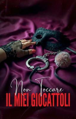 Cover image for Non toccare il miei giocattoli