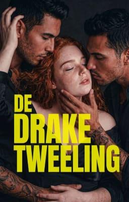 Cover image for De Drake-tweeling