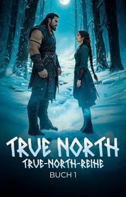 Cover image for True-North-Reihe, Buch 1: True North