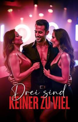 Cover image for Erotischer One-Shot: Drei sind keiner zu viel