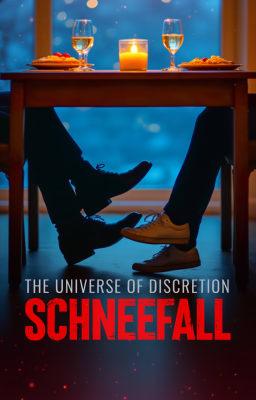 Cover image for The Universe of Discretion: Schneefall
