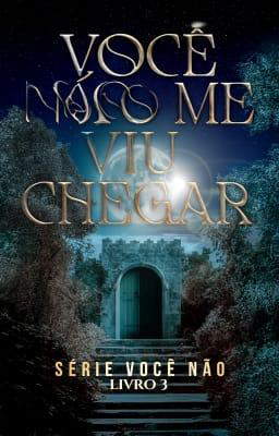 Série Você Não Livro 3: Você Não Me Viu Chegar