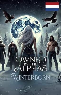Cover image for Het bezit van de alfa's: Wintergeboren