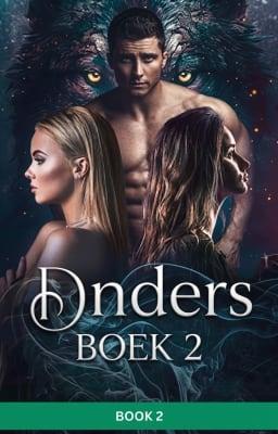 Cover image for Anders Boek 2
