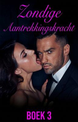 Cover image for Zondige Aantrekkingskracht Boek 3