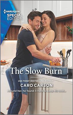 Cover image for The Slow Burn