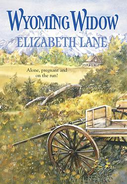 Cover image for Wyoming Widow