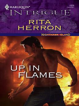 Cover image for Up in Flames