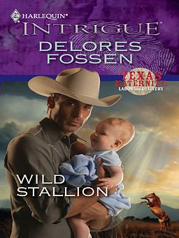 Cover image for Wild Stallion