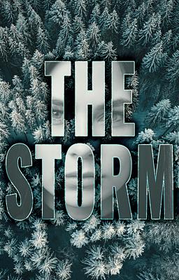 Cover image for The Storm