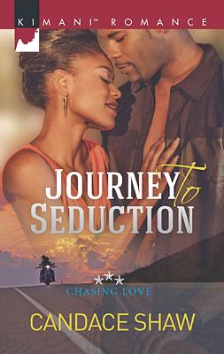 Cover image for Journey to Seduction