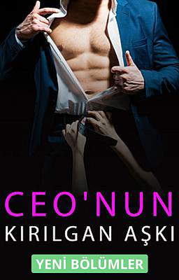 CEO'nun Kırılgan Aşkı