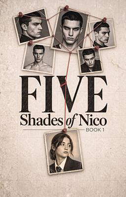 Five Shades of Nico Book 1