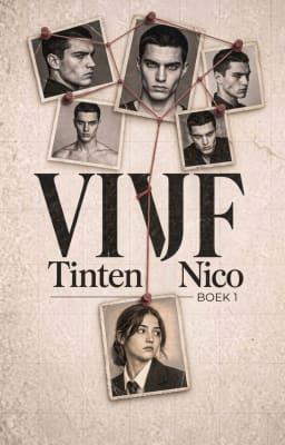 Vijf tinten Nico Boek 1