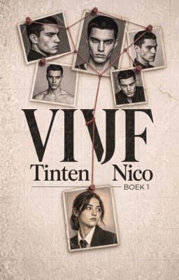 Cover image for Vijf tinten Nico Boek 1