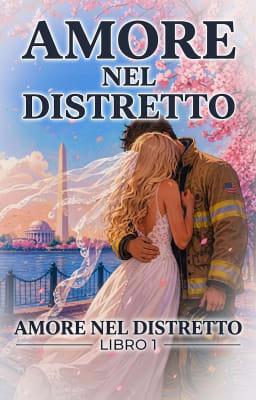 Cover image for Amore nel Distretto Libro 1