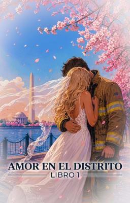 Amor en el Distrito Libro 1
