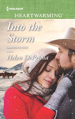 Cover image for Into the Storm
