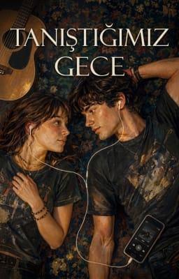 Cover image for Tanıştığımız Gece