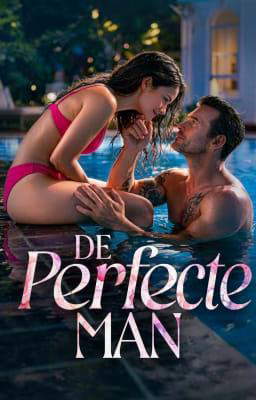 De Perfecte Man