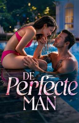 Cover image for De Perfecte Man