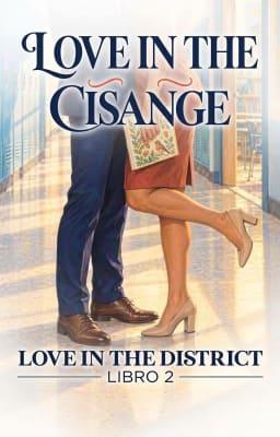 Cover image for Amor en el Distrito Libro 2: Los principios del cambio