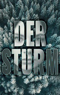 Der Sturm